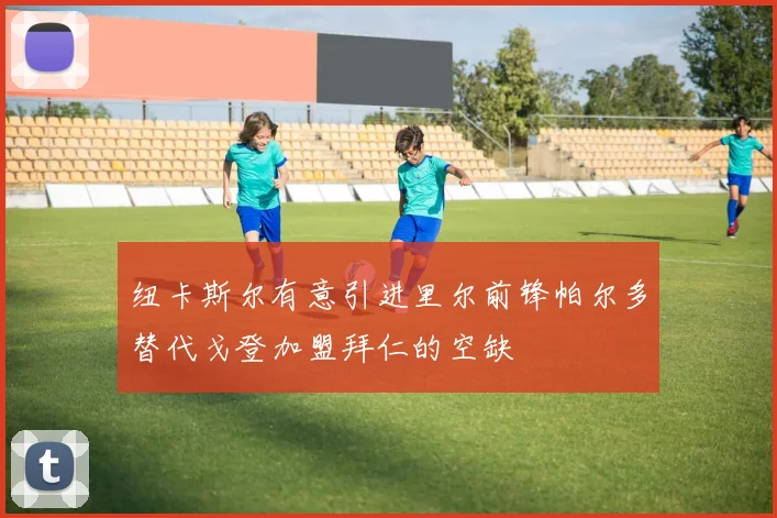 纽卡斯尔有意引进里尔前锋帕尔多替代戈登加盟拜仁的空缺